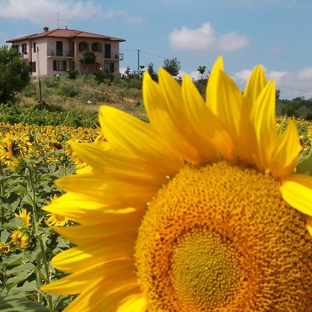 B&B Il Girasole - Rooms & House In Country - 1500 Meters From Historic Center Montepulciano Stazione Buitenkant foto