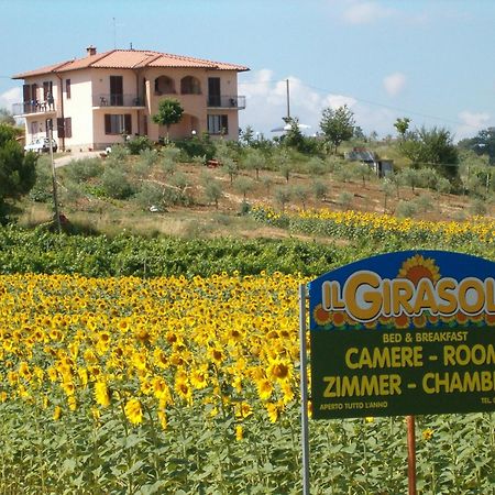 B&B Il Girasole - Rooms & House In Country - 1500 Meters From Historic Center Montepulciano Stazione Buitenkant foto