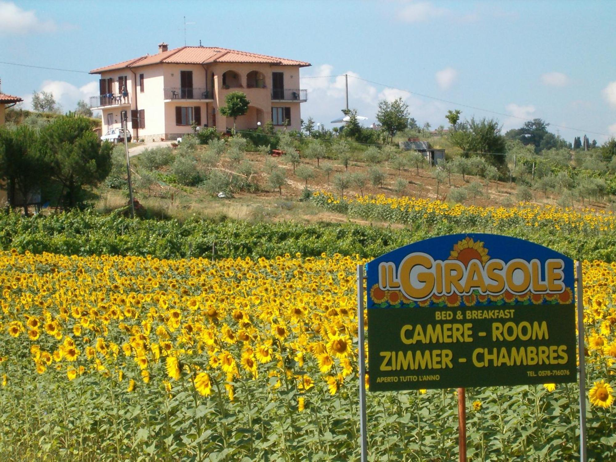 B&B Il Girasole - Rooms & House In Country - 1500 Meters From Historic Center Montepulciano Stazione Buitenkant foto