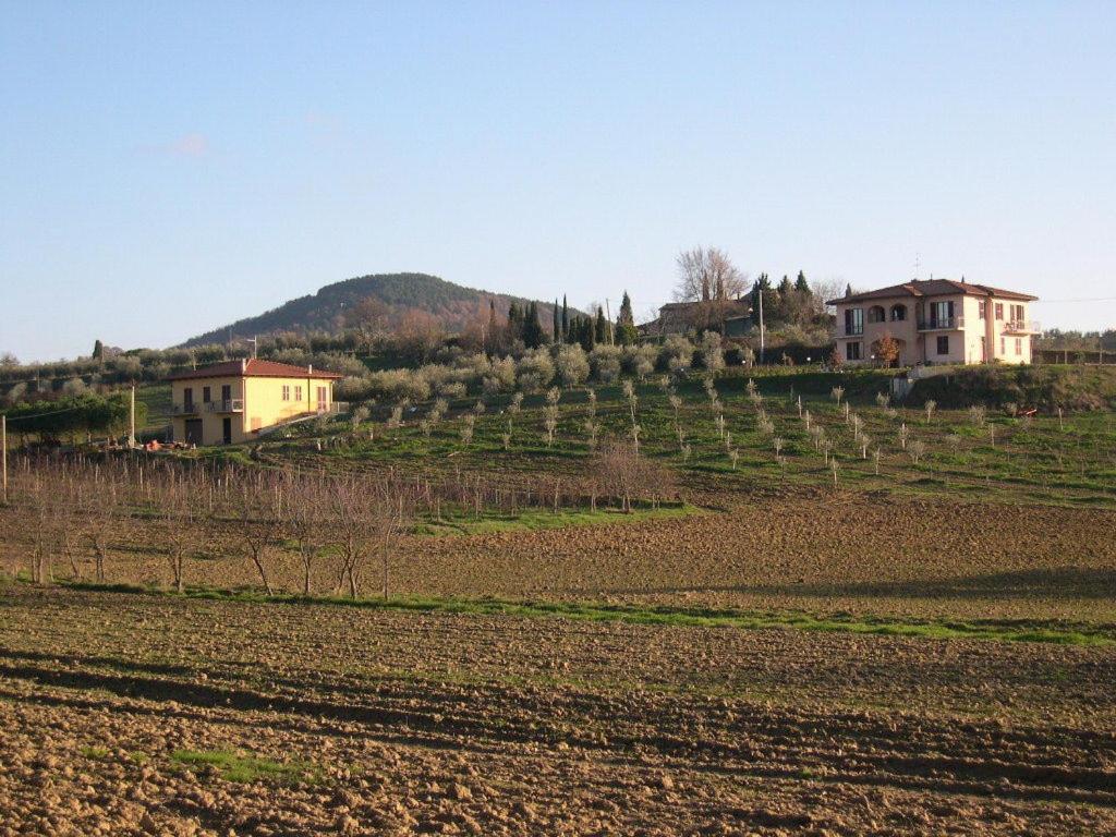 B&B Il Girasole - Rooms & House In Country - 1500 Meters From Historic Center Montepulciano Stazione Buitenkant foto