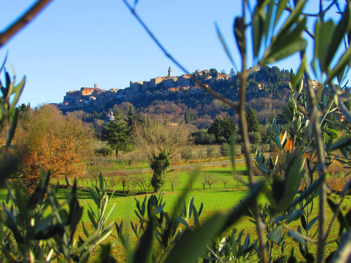 B&B Il Girasole - Rooms & House In Country - 1500 Meters From Historic Center Montepulciano Stazione Buitenkant foto