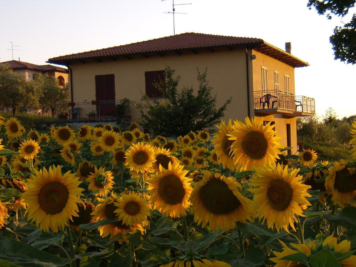 B&B Il Girasole - Rooms & House In Country - 1500 Meters From Historic Center Montepulciano Stazione Buitenkant foto