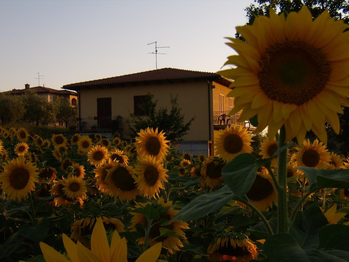 B&B Il Girasole - Rooms & House In Country - 1500 Meters From Historic Center Montepulciano Stazione Buitenkant foto